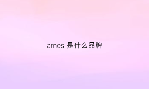 ames 是什么品牌